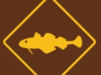 Traverse de poissons